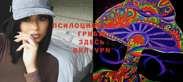 ПСИЛОЦИБИНОВЫЕ ГРИБЫ Армянск