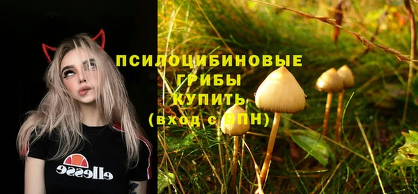 ПСИЛОЦИБИНОВЫЕ ГРИБЫ Армянск
