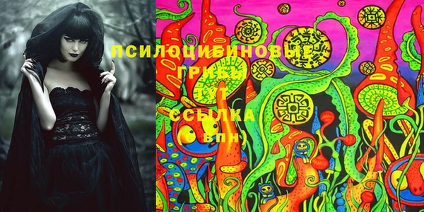 ПСИЛОЦИБИНОВЫЕ ГРИБЫ Армянск