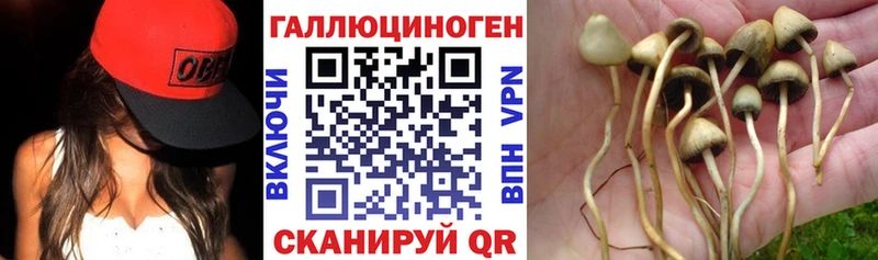 Псилоцибиновые грибы MAGIC MUSHROOMS  купить наркотики сайты  Зеленокумск 