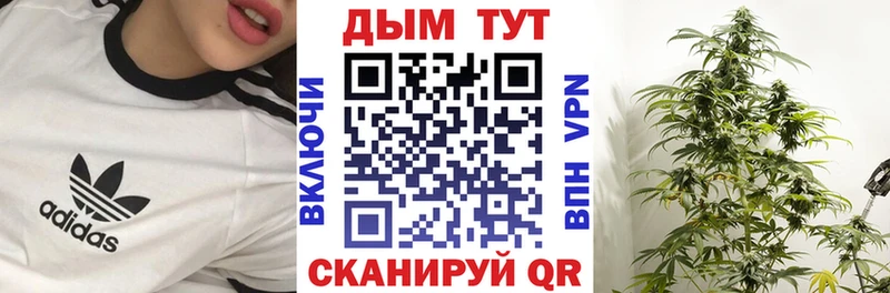 Шишки марихуана Amnesia  как найти закладки  Зеленокумск 